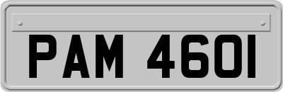 PAM4601