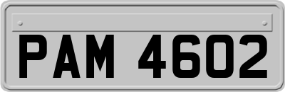 PAM4602
