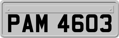 PAM4603