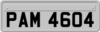 PAM4604