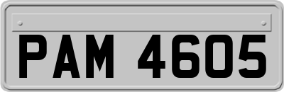 PAM4605