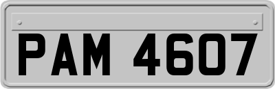 PAM4607