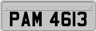 PAM4613