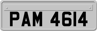 PAM4614
