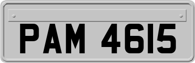 PAM4615