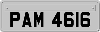 PAM4616