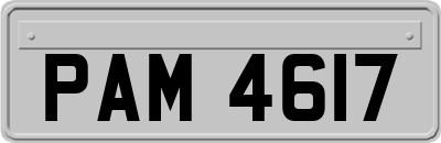 PAM4617