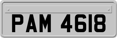 PAM4618