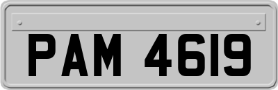 PAM4619