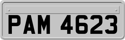 PAM4623