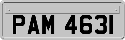 PAM4631