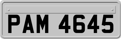 PAM4645