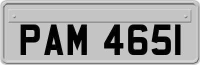 PAM4651