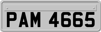 PAM4665