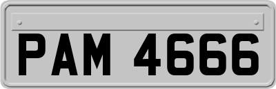 PAM4666