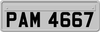 PAM4667