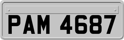 PAM4687