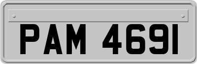 PAM4691