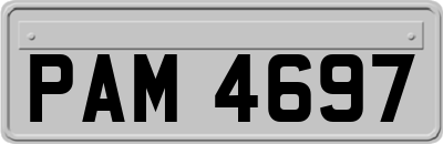 PAM4697