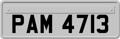 PAM4713