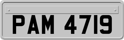 PAM4719