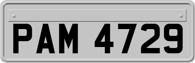 PAM4729