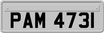 PAM4731