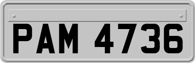 PAM4736