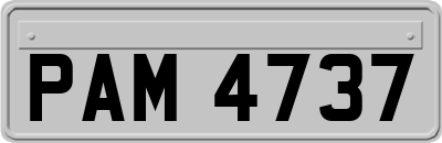 PAM4737