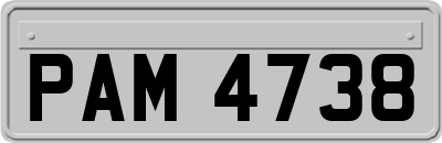 PAM4738