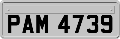 PAM4739