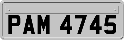 PAM4745