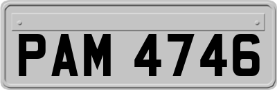 PAM4746