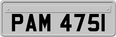 PAM4751