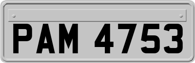 PAM4753