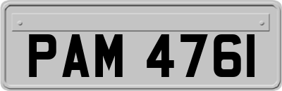 PAM4761