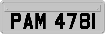 PAM4781
