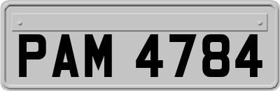 PAM4784