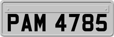 PAM4785