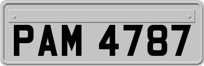 PAM4787
