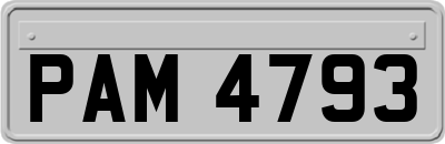 PAM4793