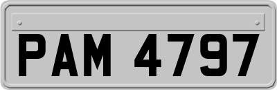 PAM4797