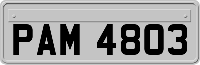 PAM4803
