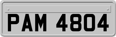 PAM4804