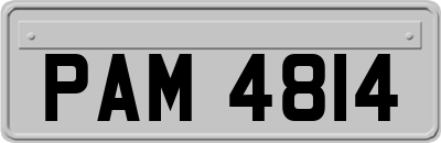 PAM4814