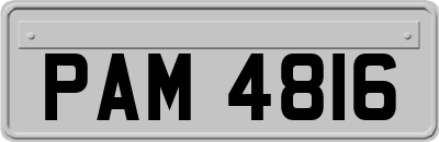 PAM4816
