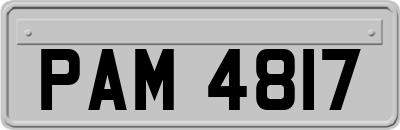 PAM4817