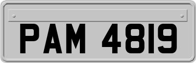 PAM4819