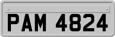 PAM4824