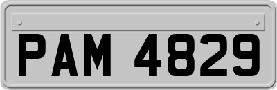 PAM4829